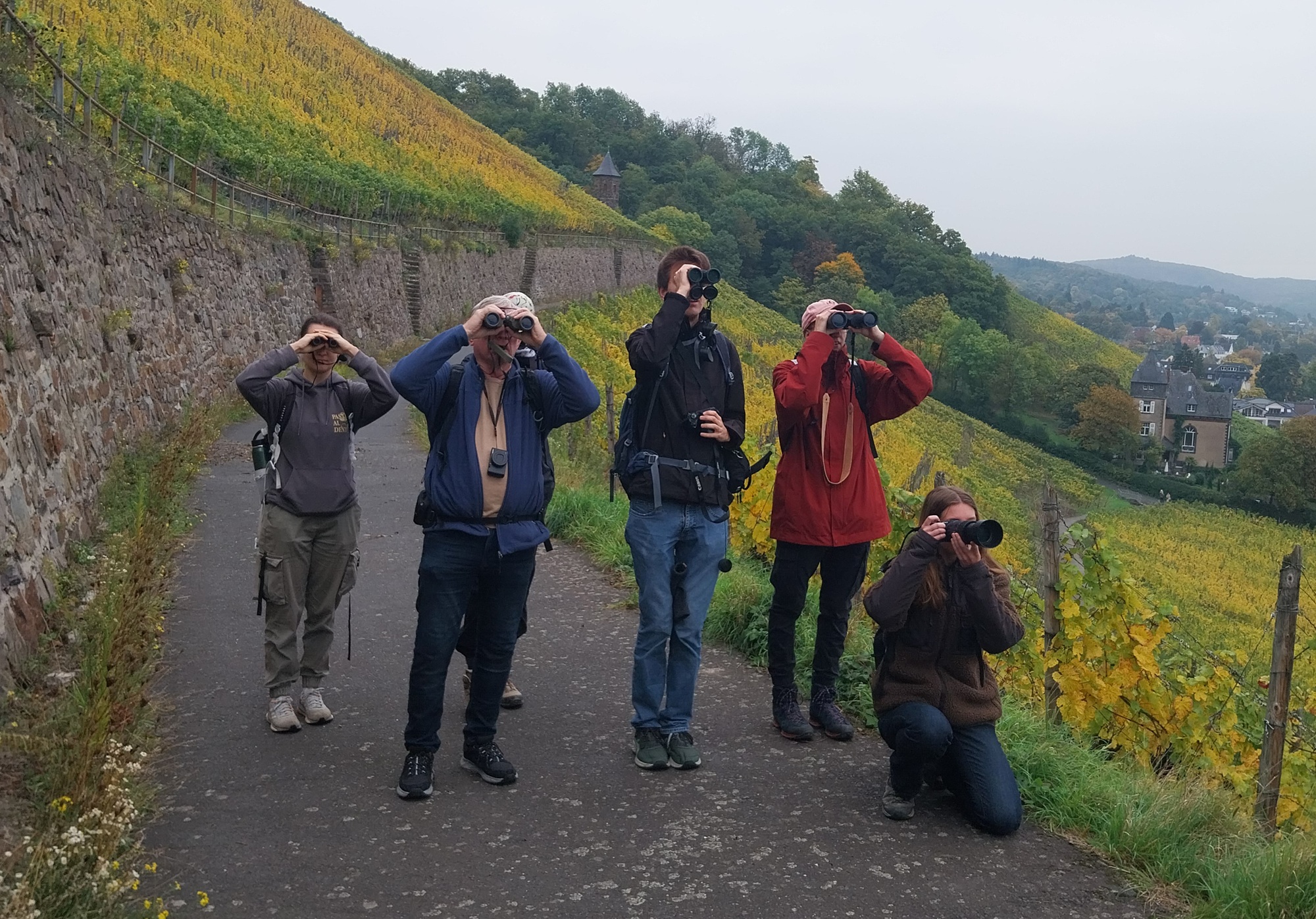 Herbstexkursion an den Drachenfels
