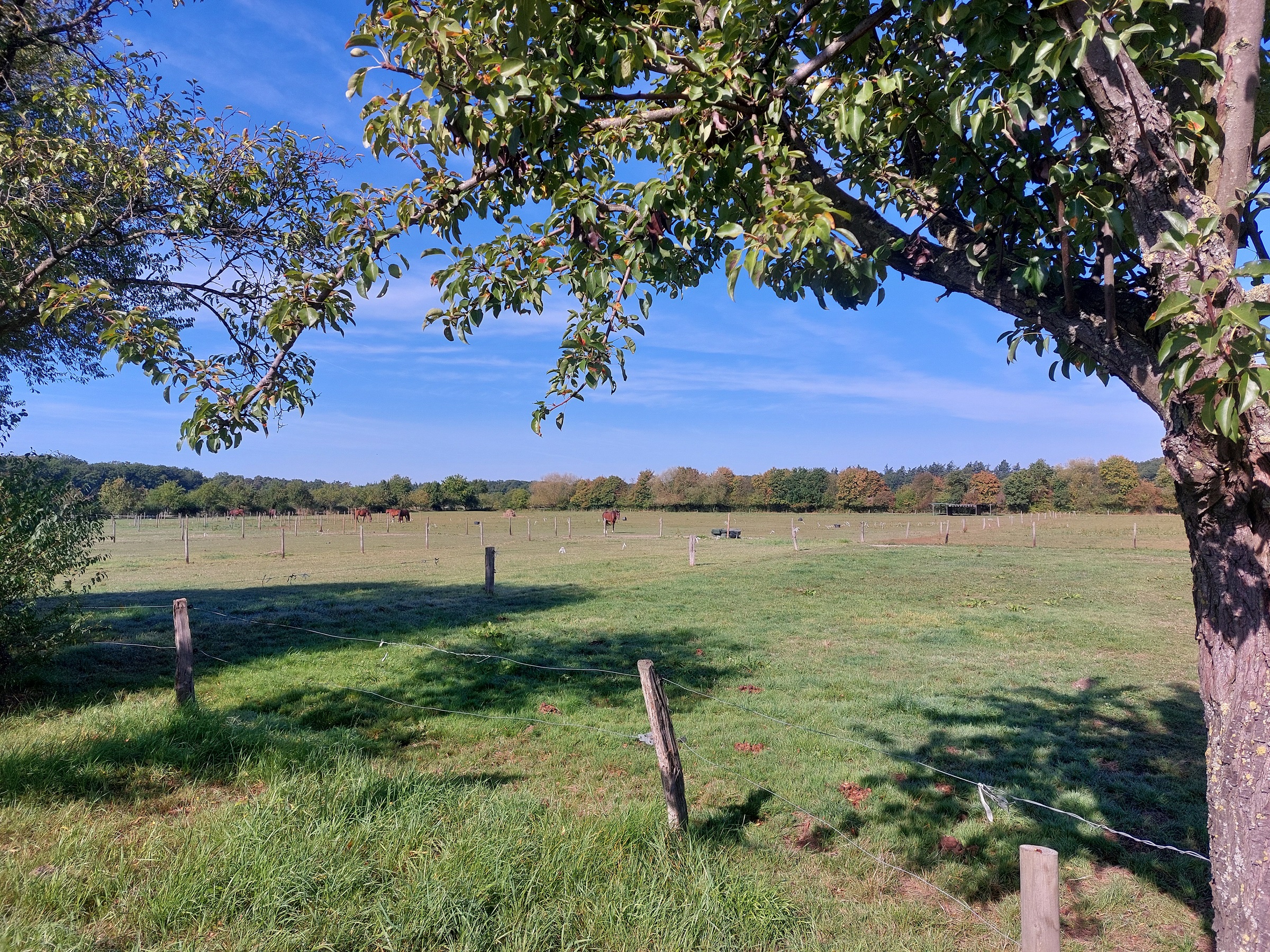 Exkursionen auf die Kasseler Heide und das Annaberger Feld